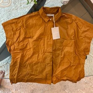 Everlane Poplim Box Shirt size XL